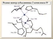 BE2011L07F009.jpg