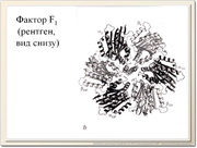 be08l09va_F32