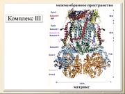 BE10L05F016.jpg