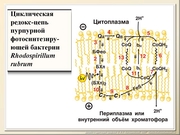 BE2011L02F011.jpg