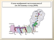 BE2011L06F007.jpg