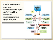 BE2015L01F019.jpg