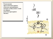 BE2011L02F020.jpg