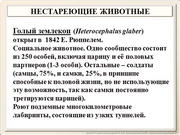 be09l12F027.jpg