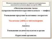 be09l12F045.jpg