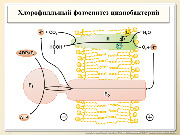 BE2015L02F008.jpg