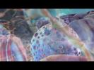 animated 3d cells in the body