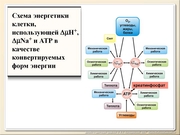 BE2011L01F019.jpg