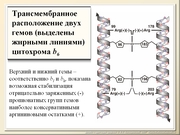 be08l04va_F12p