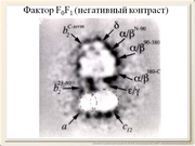 be09l10F012.jpg
