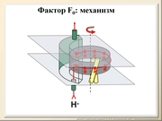BE10L10F021.jpg