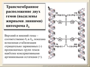 BE2011L03F026.jpg