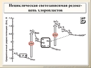 BE10L03F019.jpg