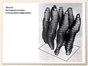 be09l08F008.jpg