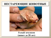 BE2011L12F032.jpg
