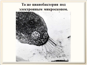 be09l11F031.jpg