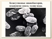 be09l11F030.jpg