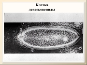 BE10L12F016.jpg