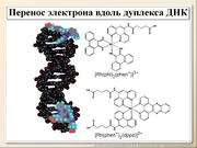 BE10L01F021.jpg