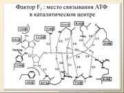 BE10L10F023.jpg