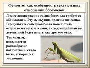 be08l01va_F07p