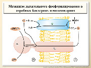 BE2015L02F009.jpg