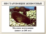 be09l12F023.jpg