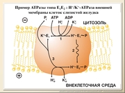 BE10L10F027.jpg