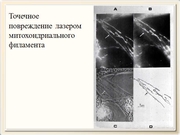 be09l11F043.jpg