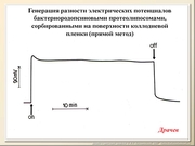 BE2011L09F017.jpg