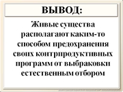 be09l12F017.jpg