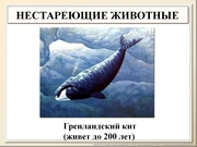 BE10L13F025.jpg