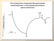BE10L08F017.jpg