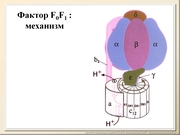 BE10L10F022.jpg