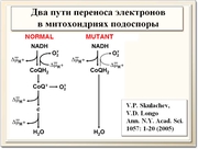 be08l14va_F41