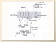 BE10L12F015.jpg