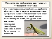 BE10L13F015.jpg
