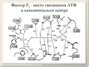 be08l10va_F07