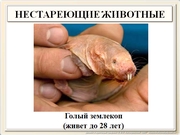 be09l12F026.jpg