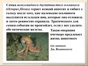 BE10L13F016.jpg
