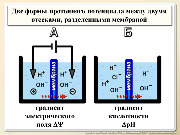 BE2015L01F016.jpg