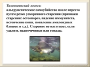 BE2011L12F027.jpg