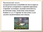 BE10L13F021.jpg