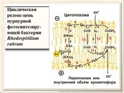 be09l02F021.jpg