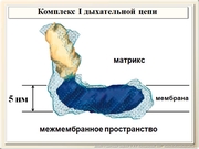 be09l05F015.jpg