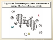 be08l03va_F05p