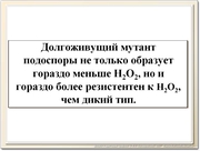 be08l14va_F40