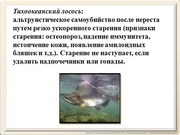 be09l12F021.jpg