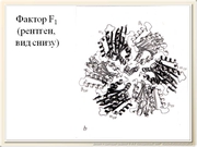 be09l10F010.jpg