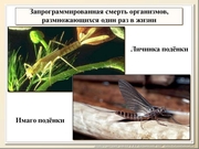 BE2011L12F020.jpg